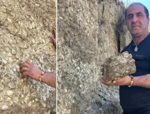 Erzurum’da 200 Milyon Yıllık Fosil Keşifleri ve Müze Çalışmaları
