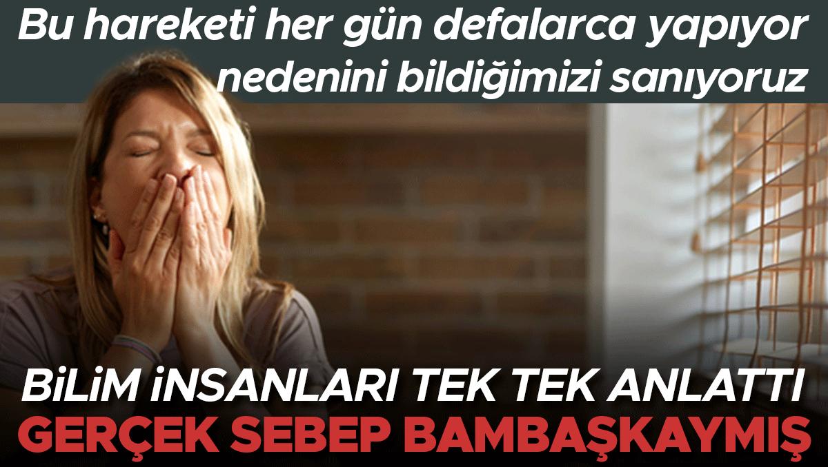 Esneme Davranışının Gizemleri ve Bilimsel Yaklaşımlar 1 Esneme Davranışının Gizemleri ve Bilimsel Yaklaşımlar