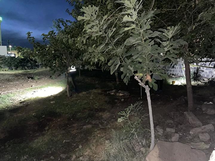 Fırat Mahallesi’nde Olaylı Kabus: Bebek Cesedi Gömüldü