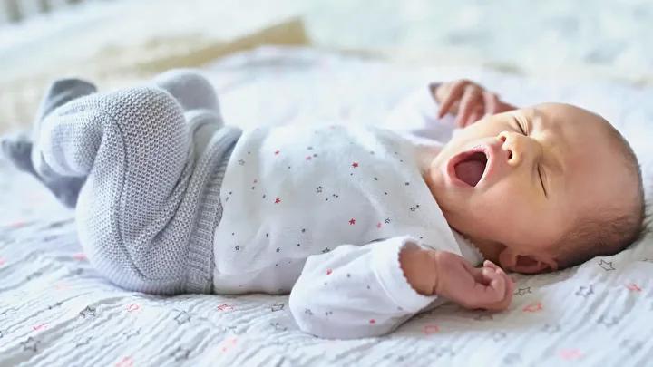 Fransa’daki Türk İsimleri ve Popülerlikleri Üzerine Güncel Bulgular