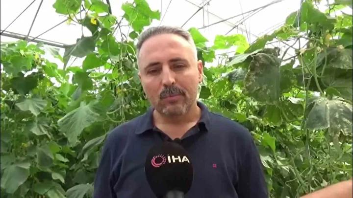 İnovatif Yaklaşım ve Bölgesel Gelişme