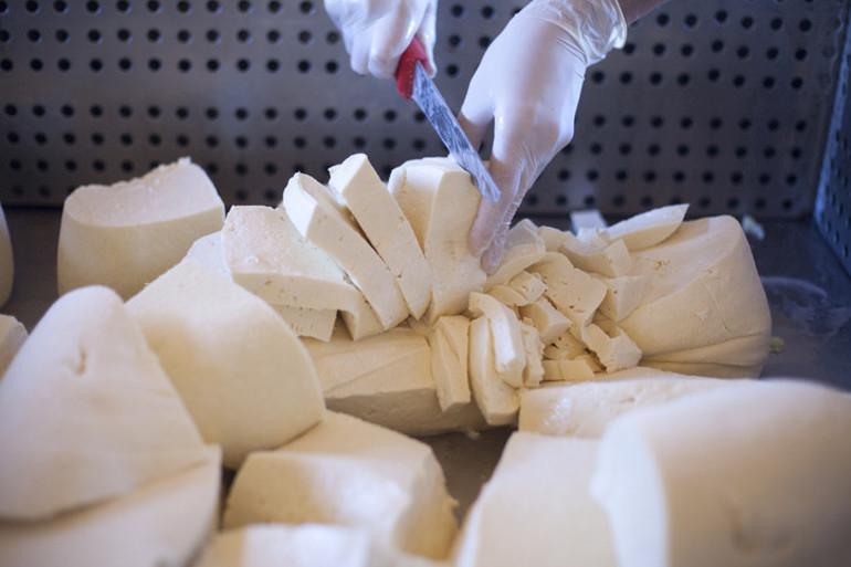 Gıda Güvenliği ve Denetimler: Peynir ve Diğer Ürünlerdeki Tehlikeler