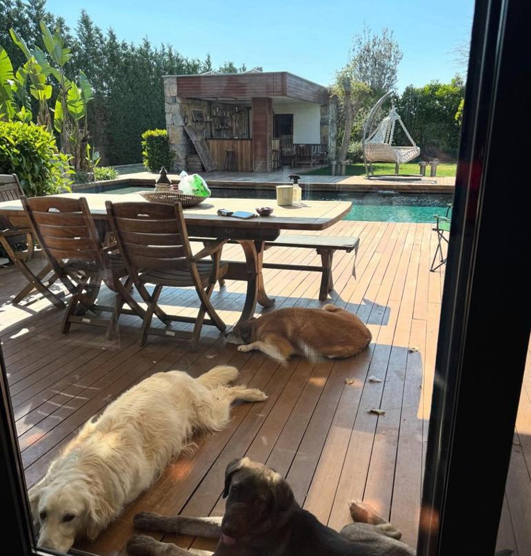 Gizem Karaca'nın İzmir’deki Lüks Villası ve Güncel Hayatı