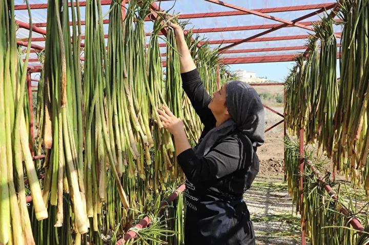 Gölbaşı Gölü'nün Yeniden Canlandırılmasına Fonksiyonel ve Ekonomik Katkı Projesi