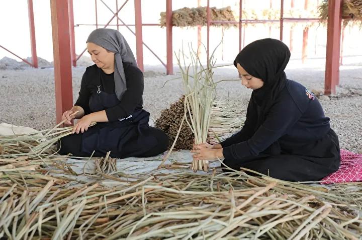 Gölbaşı Gölü'nün Yeniden Canlandırılmasına Fonksiyonel ve Ekonomik Katkı Projesi
