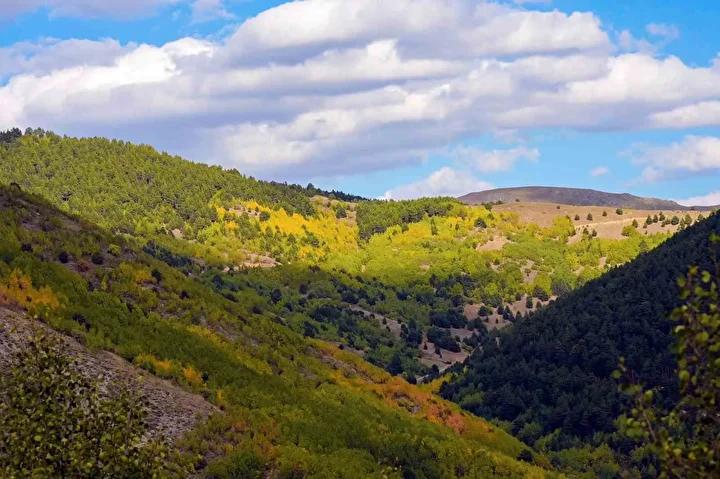 Gümüşhane’nin Muhteşem Sonbahar Manzaraları ile Tanışın