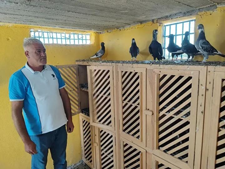 Güvercinlerini Kaybeden Çilgin Sahip, Büyük Ödüllerle Arıyor