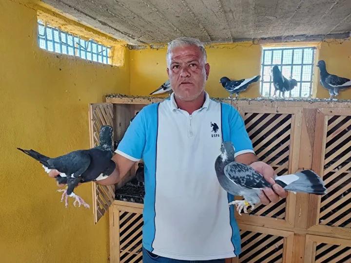Güvercinlerini Kaybeden Çilgin Sahip, Büyük Ödüllerle Arıyor