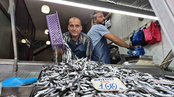 Hamsi Bollaşı ve Balık Piyasasındaki Güncel Gelişmeler