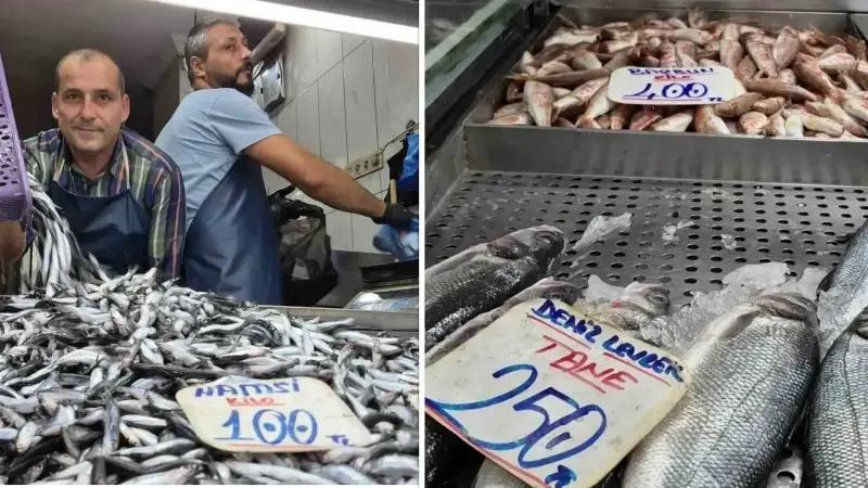 Hamsi Bollasi ve Balik Piyasasindaki Guncel Gelismeler