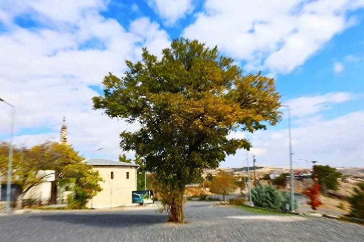 Harput Mahallesi'nin Sonbahar Büyüsü: Tarih ve Doğanın Kesişimi