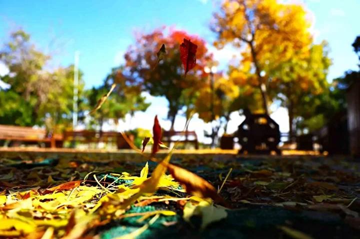 Harput Mahallesi'nin Sonbahar Büyüsü: Tarih ve Doğanın Kesişimi