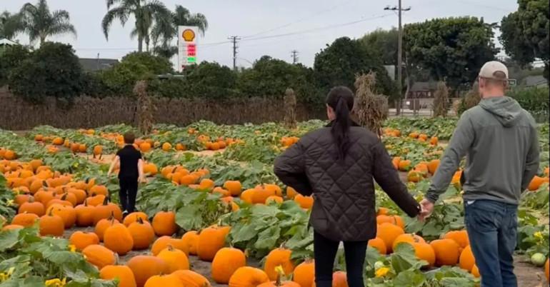 Harry ve Meghan'ın ABD’de Yaşam ve Zorluklar Günlüğü
