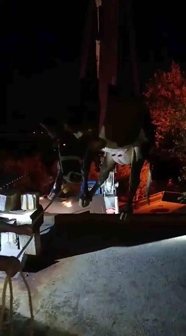 Hassa’da Büyükbaş Hayvanın İtfaiye Ekipleri Tarafından Kurtarılması 5 Hassa’da Büyükbaş Hayvanın İtfaiye Ekipleri Tarafından Kurtarılması