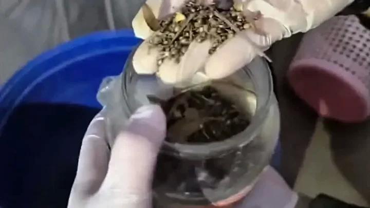Hatay'da Uyuşturucu ve Silah Operasyonu Gerçekleştirildi