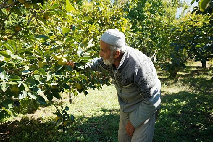 Hayaller ve Paylaşmanın Önemi