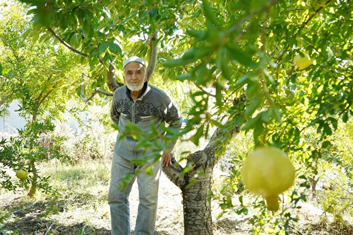 İbrahim Çakmakçı'nın Bahçesinde Paylaşma Geleneği