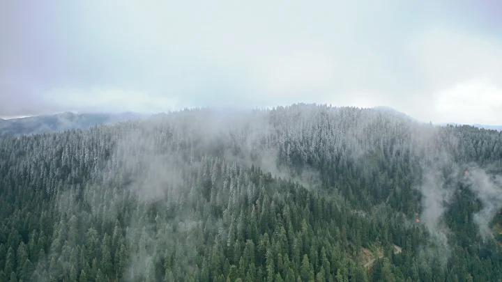 Ilgaz Dağı'nda Kış Manzarası ve Kar Yağışı İçin Güncel Durum
