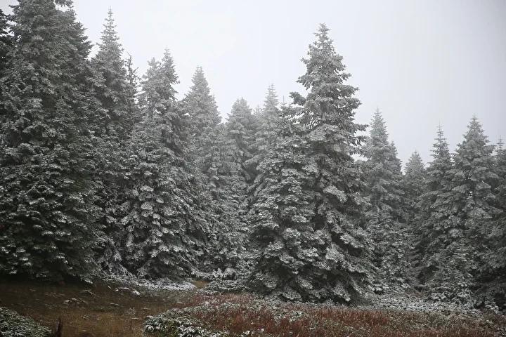Ilgaz Dağı'nda Kış Manzarası ve Kar Yağışı İçin Güncel Durum