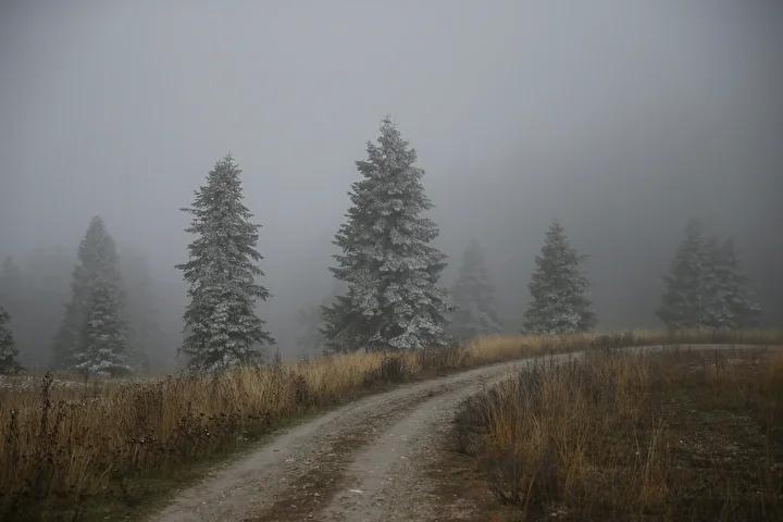 Ilgaz Dağı'nda Kış Manzarası ve Kar Yağışı İçin Güncel Durum