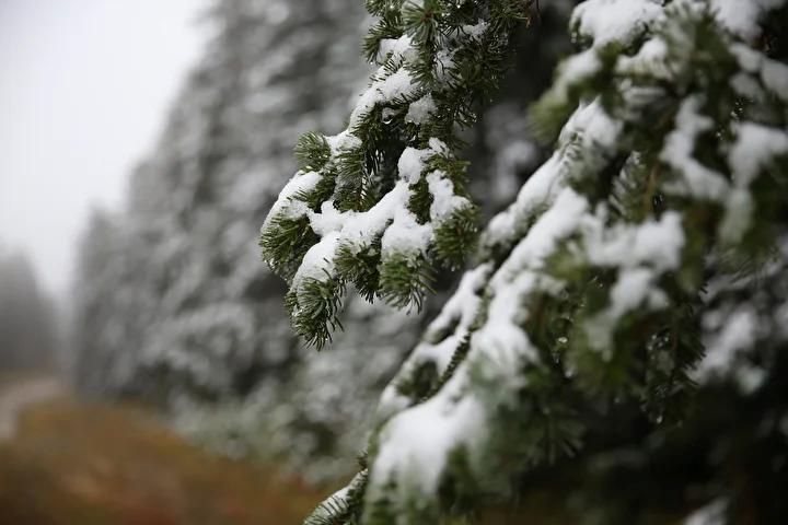 Ilgaz Dağı'nda Kış Manzarası ve Kar Yağışı İçin Güncel Durum