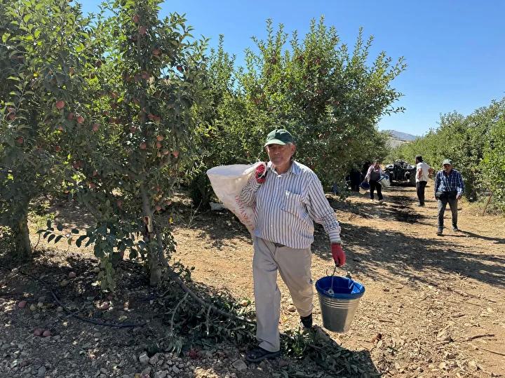 Isparta'da Elma Hasadı Coşkusuyla Başladı: Geçmiş ve Gelecek Birlikte Elma Meyvesini Topluyor