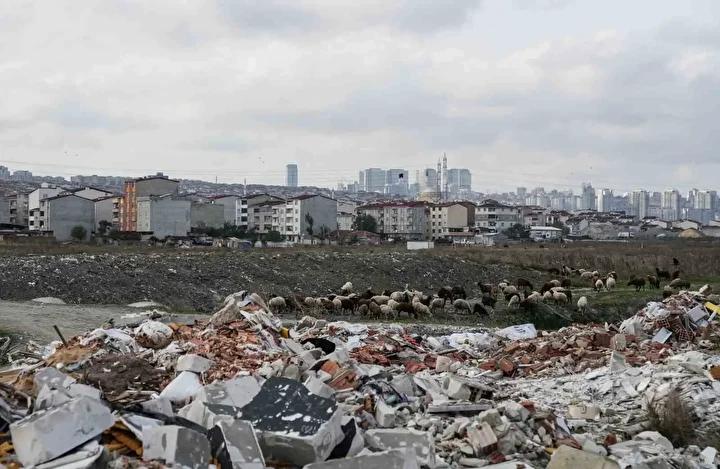 Kokular ve Çevre Sağlığı Riski
