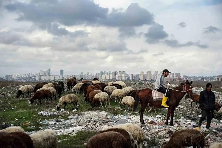 İstanbul Avcılar’da Dere Kirliliği ve Çevresel Tehditler