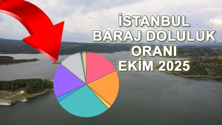 Barajlar ve Güncel Su Seviyeleri