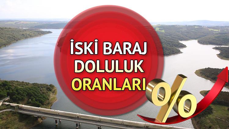 İstanbul'daki Barajların Güncel Doluluk Oranları