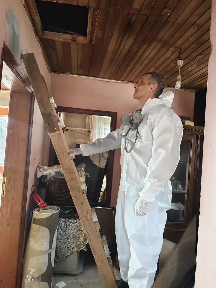 İstanbul’da Kahverengi Kokarca ile Etkili Mücadele Stratejileri