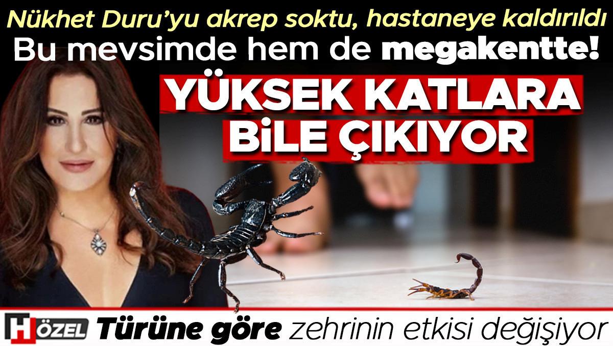 Sokma Riskini Artıran Faktörler ve Akreplerin Yaşam Alanları