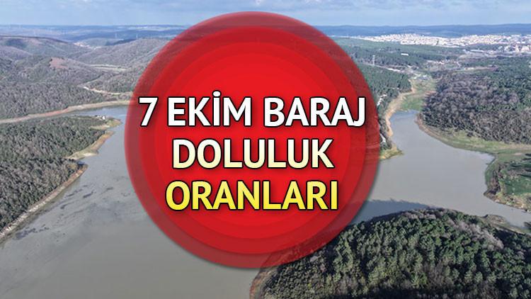 İstanbul'daki Baraj Doluluk Oranlarındaki Güncel Durum ve Yağış Etkisi