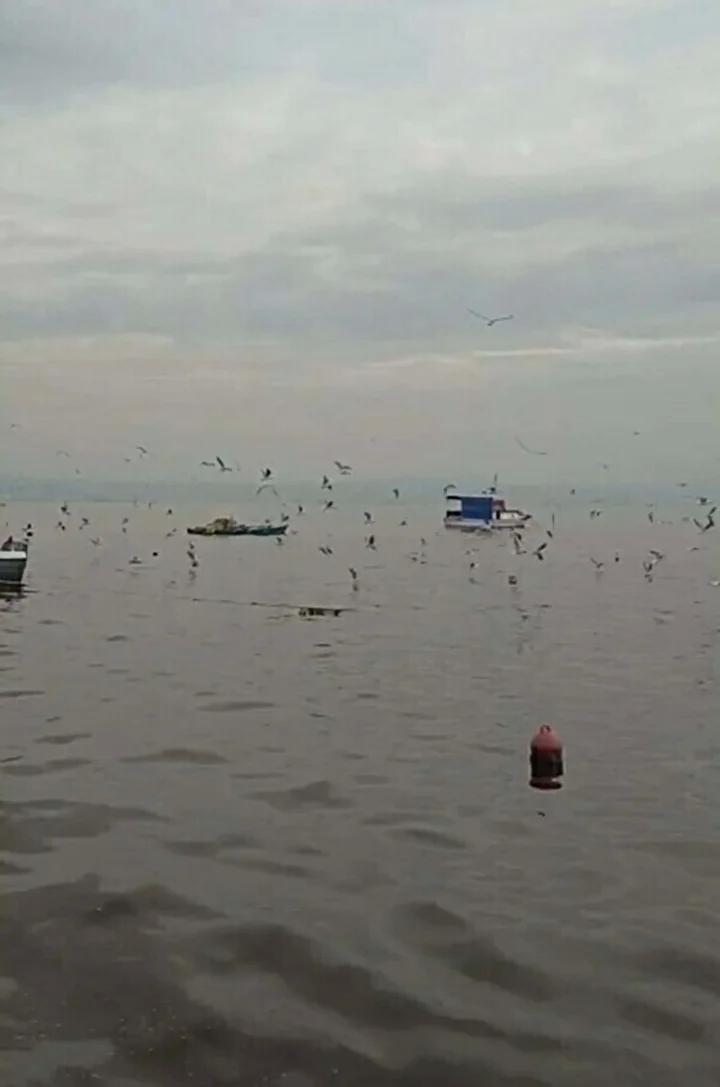 İzmir Körfezi’nde Endişe Yaratan Çevre Kirliliği ve Deniz Yaşamı Etkileri 4 İzmir Körfezi’nde Endişe Yaratan Çevre Kirliliği ve Deniz Yaşamı Etkileri