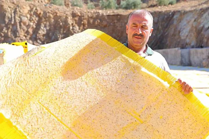 Kahramanmaraş'ta Maraş Tarhanası Üretimi Yeniden Canlanıyor