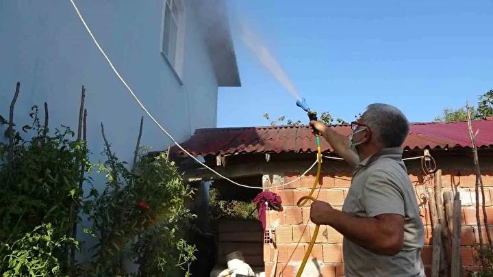 Kahverengi Kokarca Mücadelesinde Güncel Durum ve Vatandaşın Çabaları