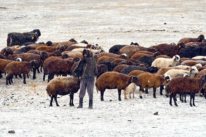 Diğer Bölgelerde Kara ve Kar Manzaraları