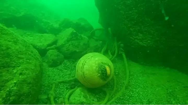 Denizlerdeki Hayalet Ağların Etkisi ve Bilimsel Çalışmalar