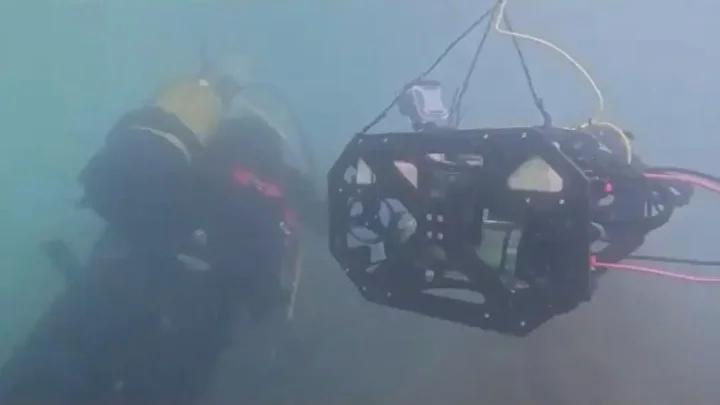 Hayalet Ağların Ekoloji ve Ekonomiye Zararları