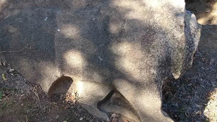 Karakız Beldesi'ndeki 3 Bin 200 Yıllık Hitit Aslan Heykeli ve Çevresindeki Arkeolojik Riskler