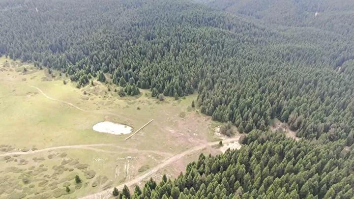 Mağaraya Yapılan İncelemeler ve Bölge Gelişmeleri