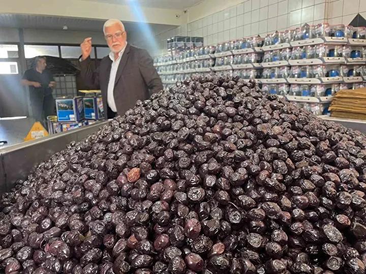 Katırlı Köyü Zeytin Kooperatifinin Başarı Hikayesi ve Üretim Sırları 3 İç Piyasa ve Dış Talep Dengesi