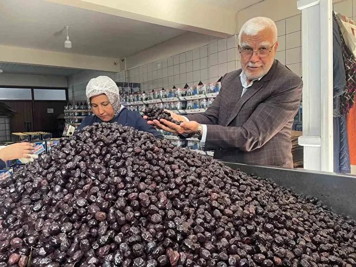 Katırlı Köyü Zeytin Kooperatifinin Başarı Hikayesi ve Üretim Sırları 6 Katırlı Köyü Zeytin Kooperatifinin Başarı Hikayesi ve Üretim Sırları