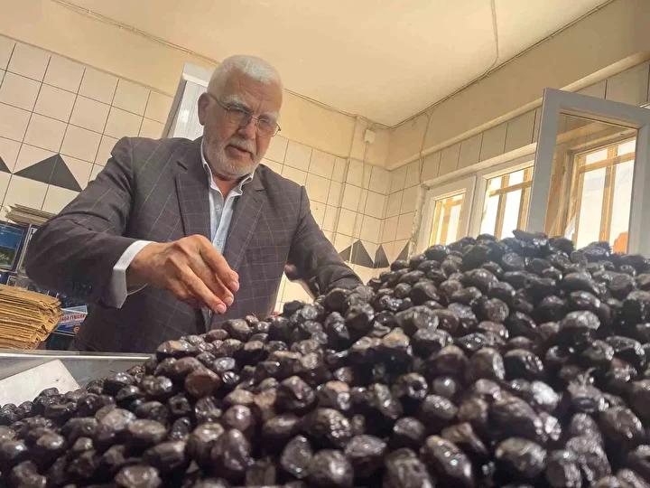 Katırlı Köyü Zeytin Kooperatifinin Başarı Hikayesi ve Üretim Sırları 7 Katırlı Köyü Zeytin Kooperatifinin Başarı Hikayesi ve Üretim Sırları