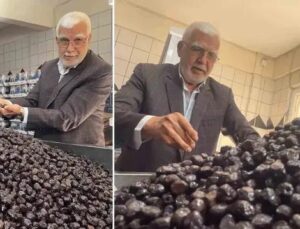 Katırlı Köyü Zeytin Kooperatifinin Başarı Hikayesi ve Üretim Sırları