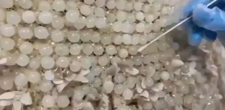Kayseri’de Uyuşturucu Operasyonu: 25 Kilo Metamfetamin Ele Geçirildi