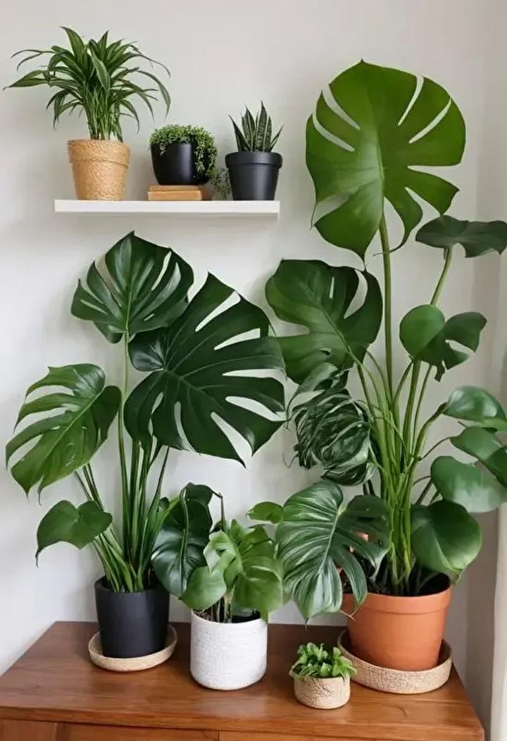 Bitkilerin Doğru Konumlandırılması ve Enerji Verimliliği