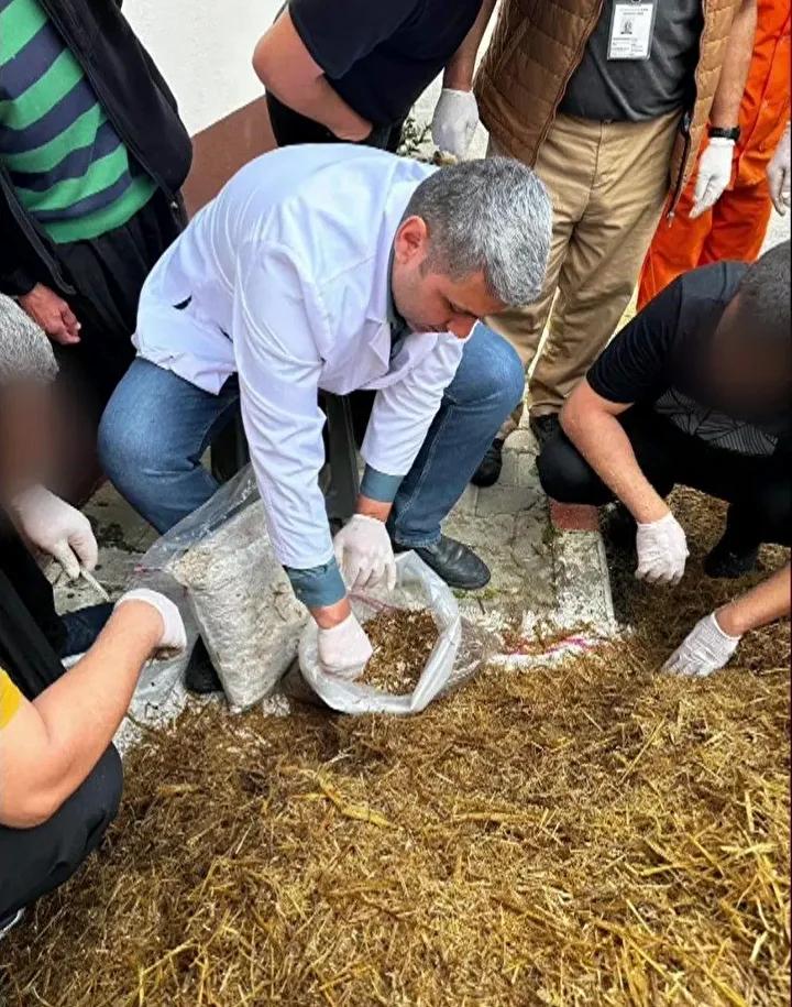Kozan Cezaevinde Mantar Üretiminde Yeni Dönem Başladı