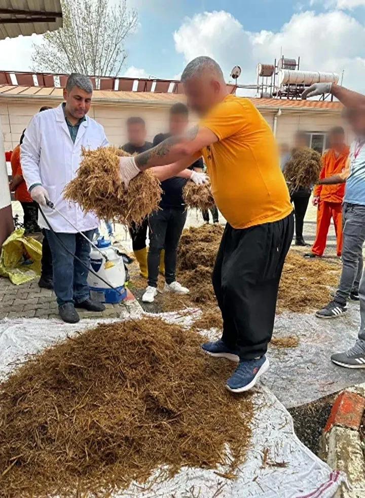 Kozan Cezaevinde Mantar Üretiminde Yeni Dönem Başladı