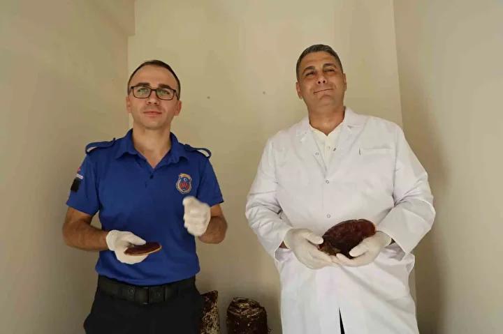 Başarı Hikayeleri ve Gelecekteki Planlar